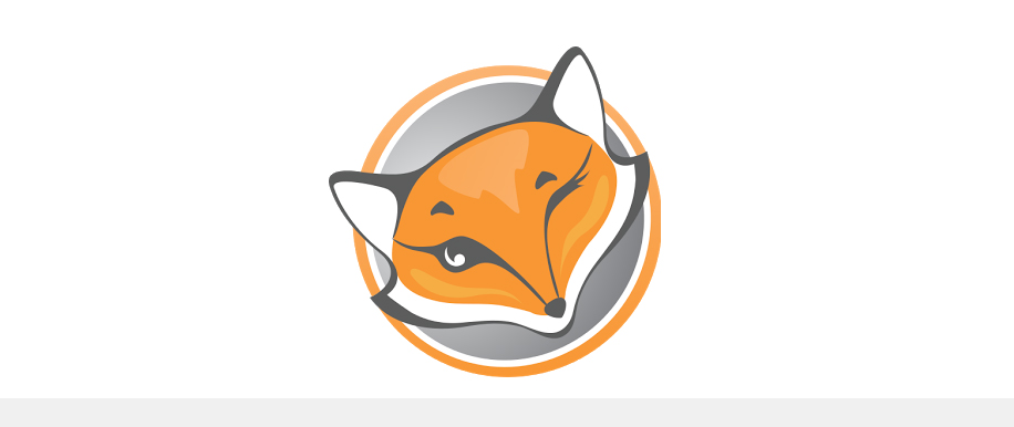 Set up FoxyProxy